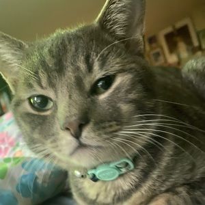 Meet your Posher, Xtroex